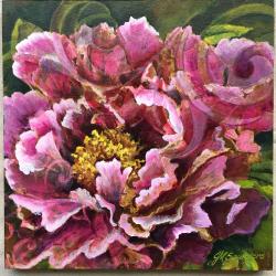 Pink Peony - 12"x 12" acrylic on panel - SOLD 